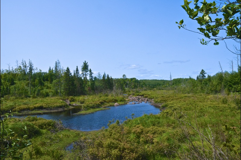 Republic Champion Grade Trail